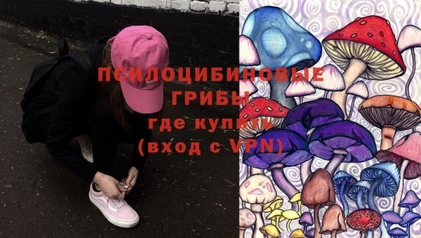 бутират Пересвет